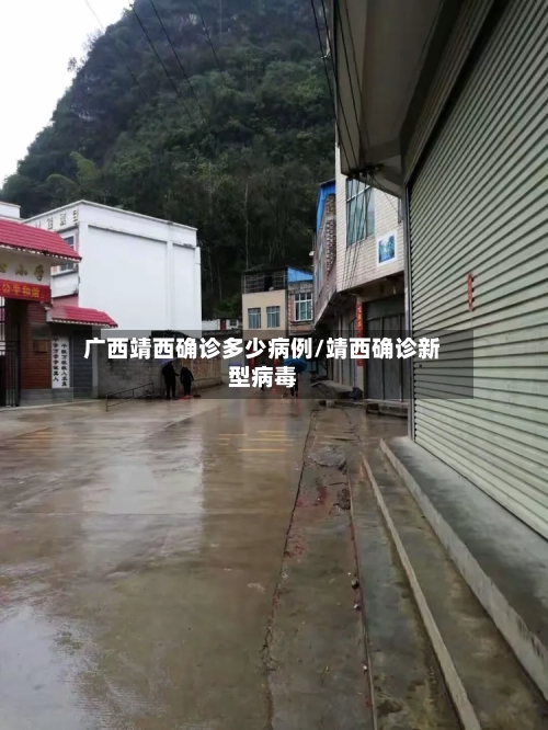 广西靖西确诊多少病例/靖西确诊新型病毒