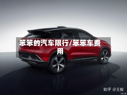 笨笨的汽车限行/笨笨车费用