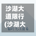 沙湖大道限行(沙湖大道限行时间)