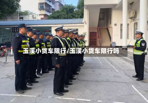 玉溪小货车限行/玉溪小货车限行吗