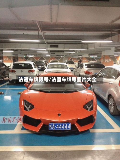 法语车牌限号/法国车牌号图片大全