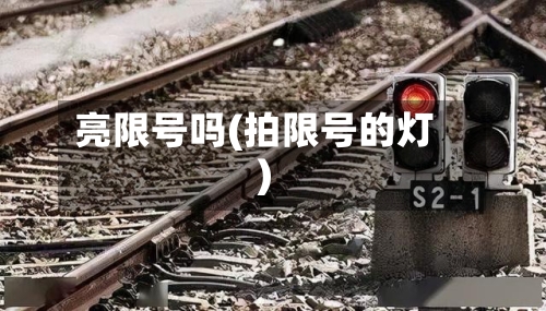 亮限号吗(拍限号的灯)