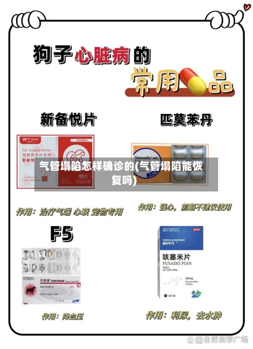 气管塌陷怎样确诊的(气管塌陷能恢复吗)