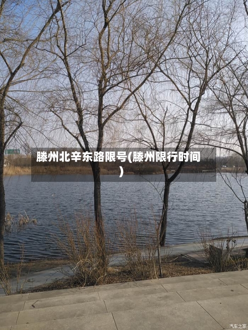 滕州北辛东路限号(滕州限行时间)