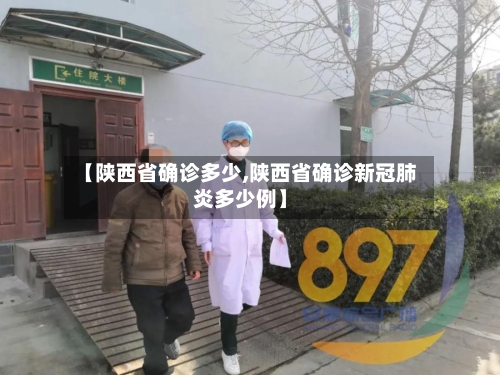 【陕西省确诊多少,陕西省确诊新冠肺炎多少例】