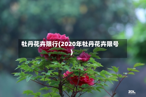 牡丹花卉限行(2020年牡丹花卉限号)