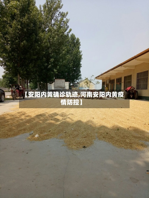 【安阳内黄确诊轨迹,河南安阳内黄疫情防控】