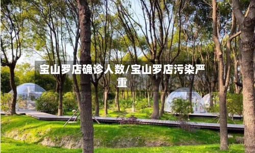 宝山罗店确诊人数/宝山罗店污染严重