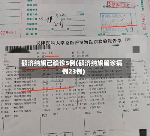 额济纳旗已确诊5例(额济纳旗确诊病例23例)