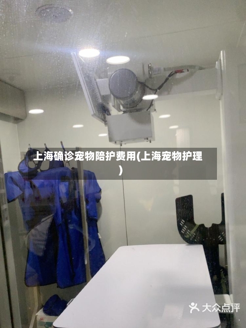 上海确诊宠物陪护费用(上海宠物护理)