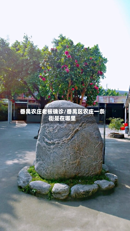 番禺农庄老板确诊/番禺区农庄一条街是在哪里