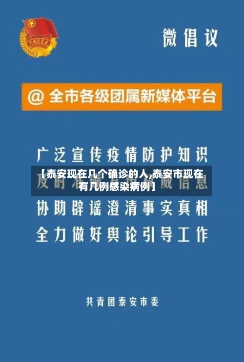 【泰安现在几个确诊的人,泰安市现在有几例感染病例】