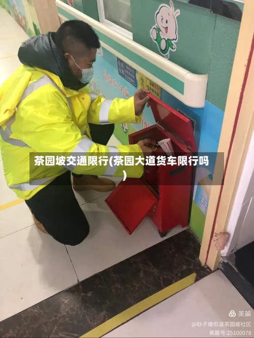 茶园坡交通限行(茶园大道货车限行吗)