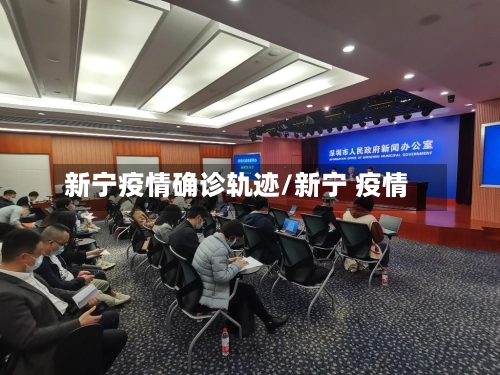新宁疫情确诊轨迹/新宁 疫情