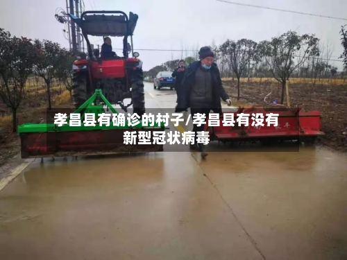 孝昌县有确诊的村子/孝昌县有没有新型冠状病毒