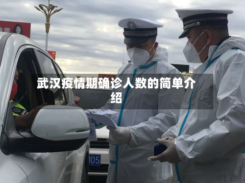 武汉疫情期确诊人数的简单介绍