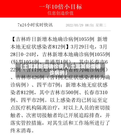 【土耳其新增确诊病人,土耳其新增确诊病例】