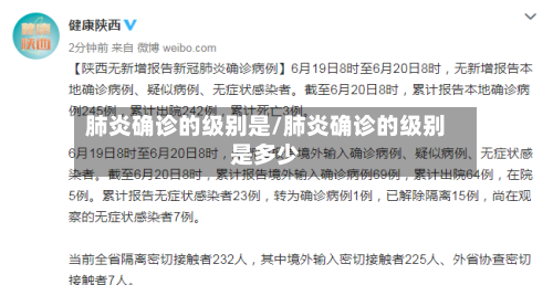 肺炎确诊的级别是/肺炎确诊的级别是多少