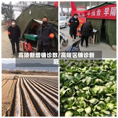 高陵新增确诊数/高陵区确诊新冠