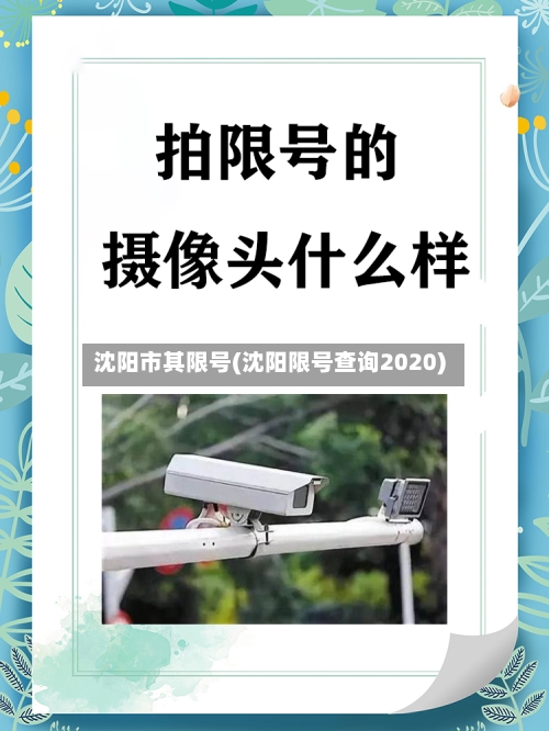 沈阳市其限号(沈阳限号查询2020)