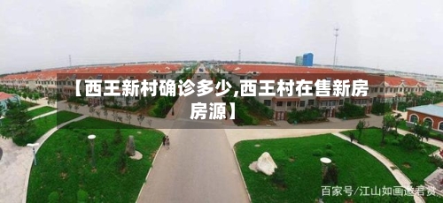 【西王新村确诊多少,西王村在售新房房源】