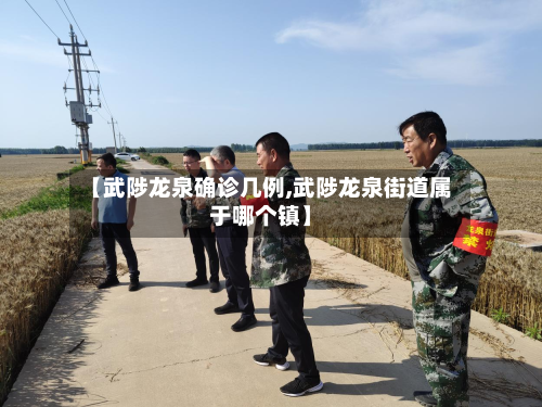 【武陟龙泉确诊几例,武陟龙泉街道属于哪个镇】