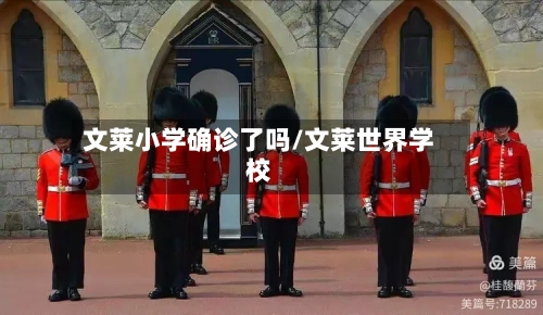 文莱小学确诊了吗/文莱世界学校