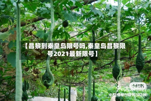 【昌黎到秦皇岛限号吗,秦皇岛昌黎限号2021最新限号】