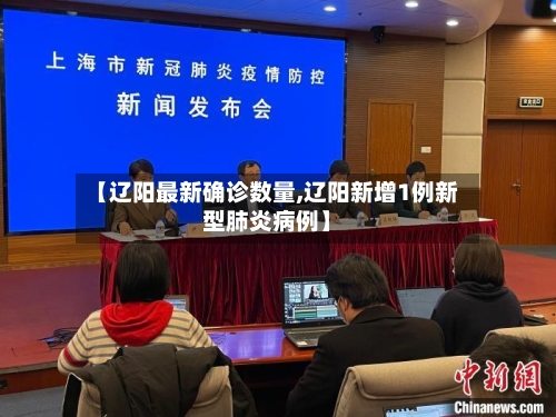 【辽阳最新确诊数量,辽阳新增1例新型肺炎病例】