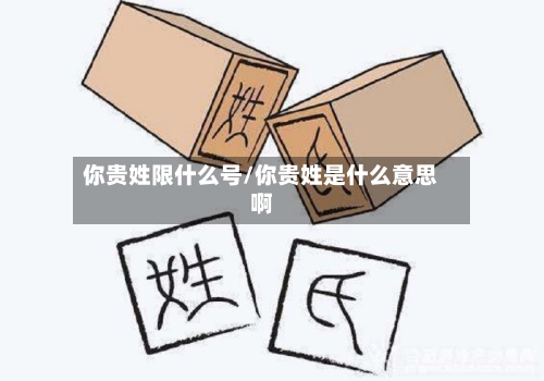 你贵姓限什么号/你贵姓是什么意思啊
