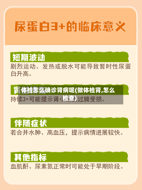 体检怎么确诊肾病呢(做体检肾,怎么检查)