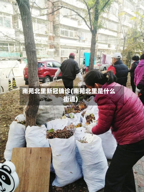 南苑北里新冠确诊(南苑北里是什么街道)