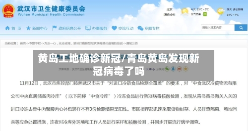 黄岛工地确诊新冠/青岛黄岛发现新冠病毒了吗