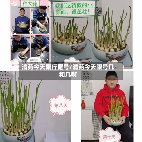 清苑今天限行尾号/清苑今天限号几和几啊