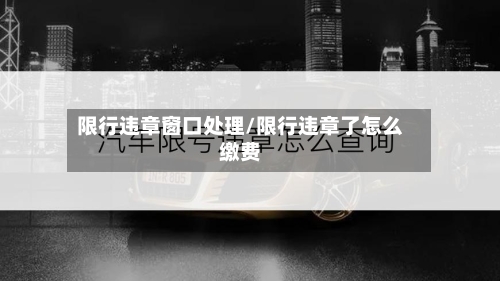 限行违章窗口处理/限行违章了怎么缴费
