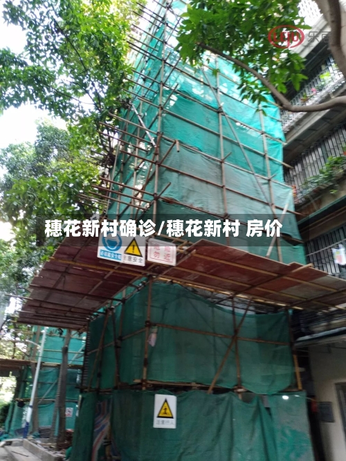 穗花新村确诊/穗花新村 房价