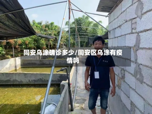 同安乌涂确诊多少/同安区乌涂有疫情吗