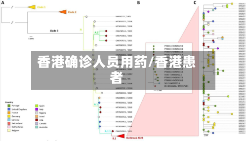 香港确诊人员用药/香港患者