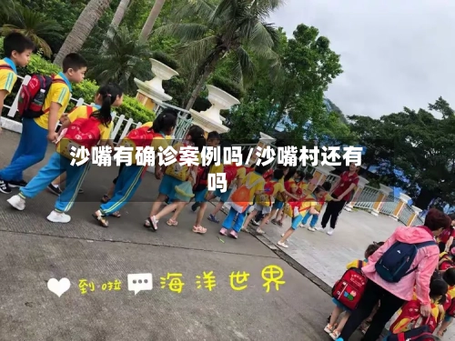 沙嘴有确诊案例吗/沙嘴村还有吗