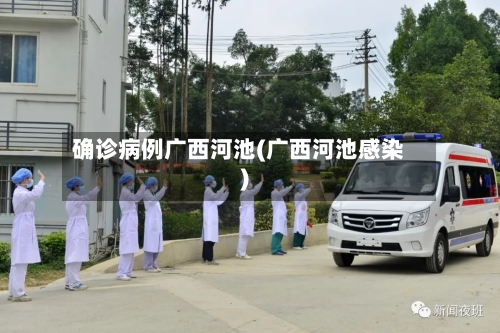 确诊病例广西河池(广西河池感染)