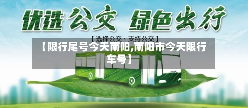 【限行尾号今天南阳,南阳市今天限行车号】