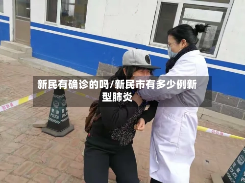 新民有确诊的吗/新民市有多少例新型肺炎