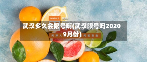武汉多久会限号啊(武汉限号吗20209月份)