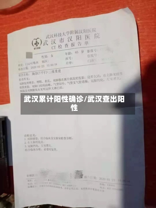 武汉累计阳性确诊/武汉查出阳性