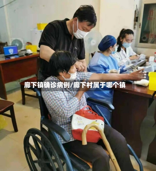 廊下镇确诊病例/廊下村属于哪个镇