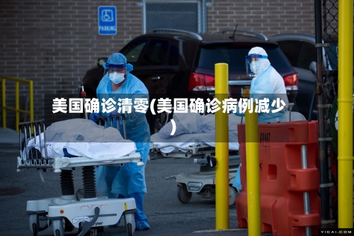 美国确诊清零(美国确诊病例减少)