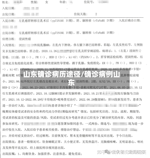 山东确诊病历途径/确诊病例山东