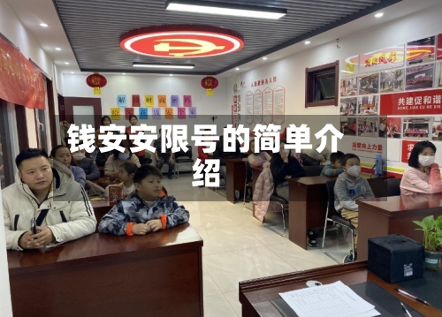 钱安安限号的简单介绍