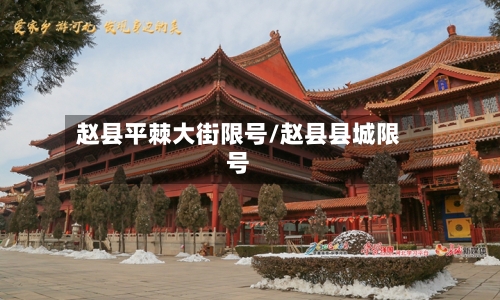 赵县平棘大街限号/赵县县城限号