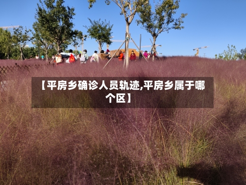 【平房乡确诊人员轨迹,平房乡属于哪个区】